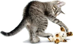 Kong Softies Fuzzy Bunny Assorti -Beeztees Winkel 0035585279053 met kat