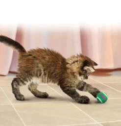 Kong Cat Tennis Balls Met Bells -Beeztees Winkel 0035585334066 met kat