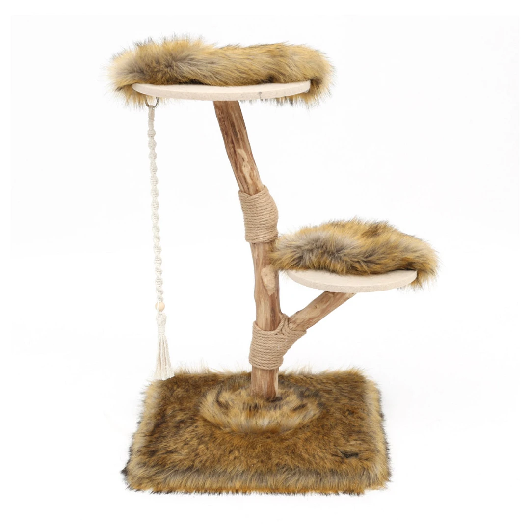 Boony Est. 1941 Klimboom Prunus Grizzly Brown 1 Boony Est. 1941 Klimboom Prunus Grizzly Brown