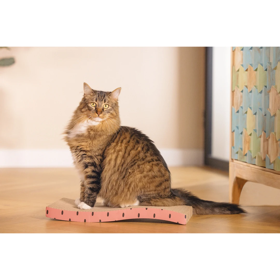 Beeztees Krabplank Dots Roze 4 Beeztees Krabplank Dots Roze - Afbeelding 4