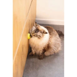 Beeztees Kattenspeelgoed Jumz Catnip 3 St -Beeztees Winkel 0430628 3