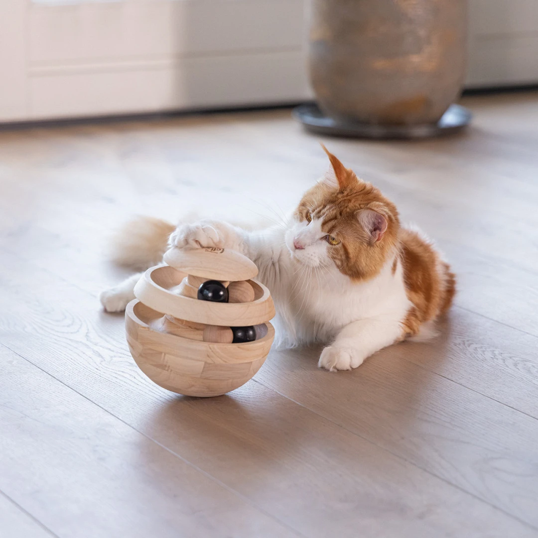 Designed By Lotte Kattenspeelgoed Neya 2 Designed By Lotte Kattenspeelgoed Neya - Afbeelding 2