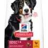 Hill's Science Plan Adult Large Breed Kip 12 Kg