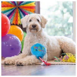 Beeztees Hondenspeelgoed Party Animal 7 Beeztees Hondenspeelgoed Party Animal -Beeztees Winkel 0617032 3