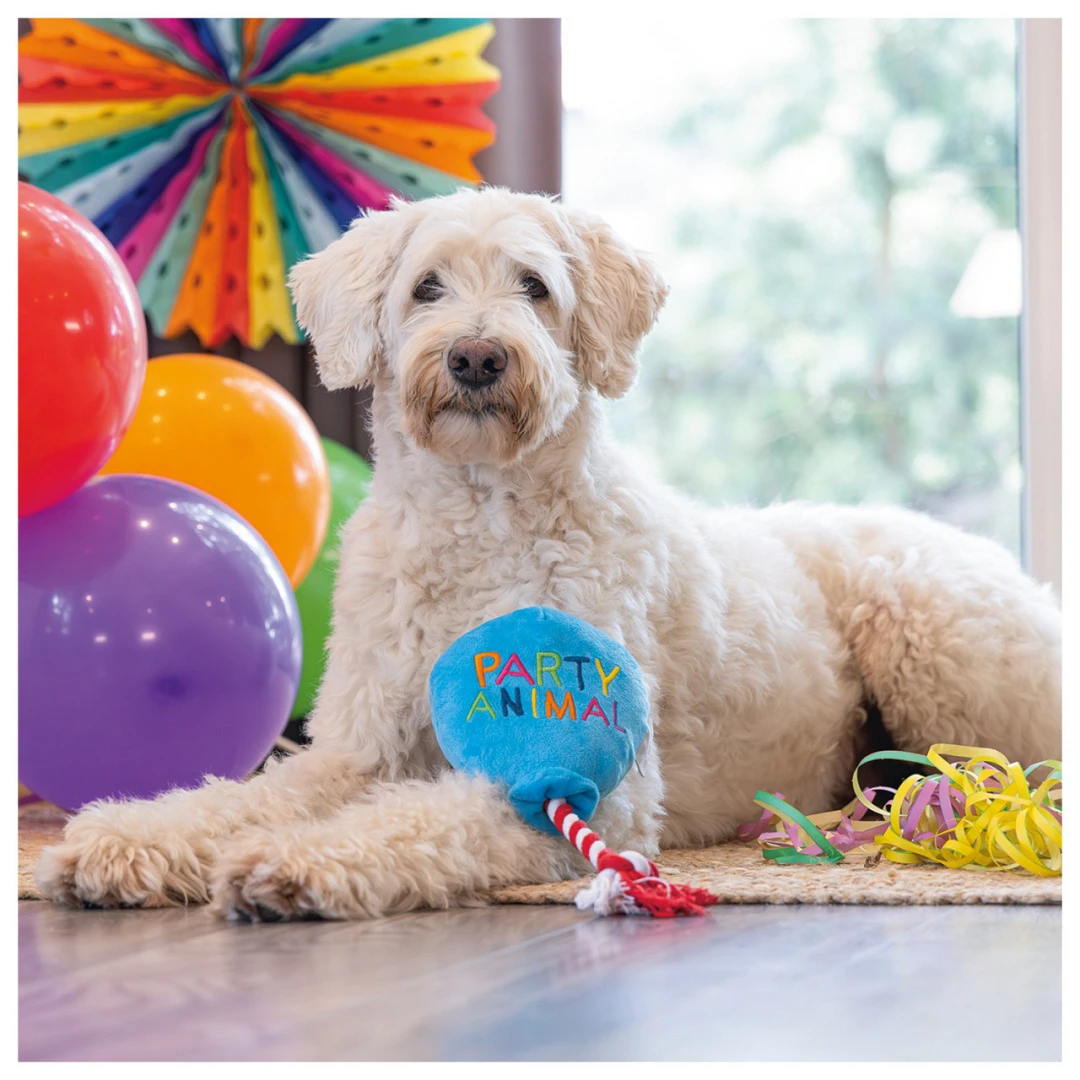 Beeztees Hondenspeelgoed Party Animal 4 Beeztees Hondenspeelgoed Party Animal - Afbeelding 4