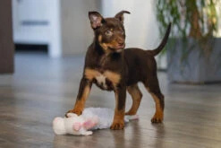 Beeztees Puppy Flatino Unicorn Lo S -Beeztees Winkel 0619460 sfeer1