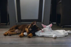 Beeztees Puppy Knuffeldoek Unicorn M 6 Beeztees Puppy Knuffeldoek Unicorn M -Beeztees Winkel 0619491 sfeer1