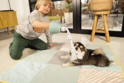 Beeztees Puppy Flostouw Pullina Groen -Beeztees Winkel 0641270 sfeer2