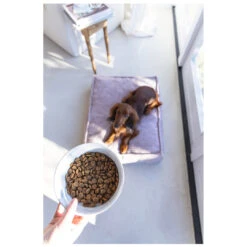 Designed By Lotte Voerbak Vive Wit -Beeztees Winkel 0653970 2