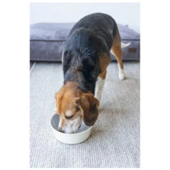 Designed By Lotte Voerbak Vive Wit -Beeztees Winkel 0653971 2