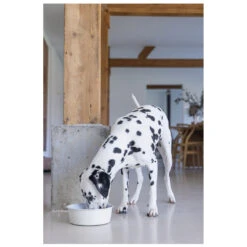 Designed By Lotte Voerbak Vive Wit -Beeztees Winkel 0653972 2