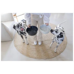 Designed By Lotte Voerbak Vive Wit -Beeztees Winkel 0653972 3