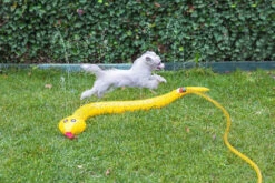 Beeztees Hondenspeelgoed Splashy Snake 7 Beeztees Hondenspeelgoed Splashy Snake -Beeztees Winkel 0704635 sfeer2