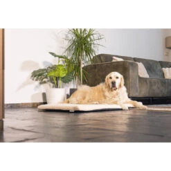 Beeztees Orthopedisch Benchkussen Ito Beige -Beeztees Winkel 0707322 1