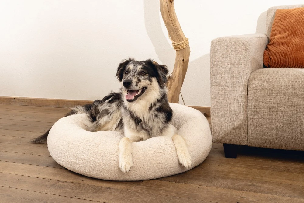 Beeztees Orthopedische Hondenmand Jaxx Beige 4 Beeztees Orthopedische Hondenmand Jaxx Beige - Afbeelding 4