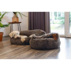 Beeztees Hondenmand Yala Bruin 14 Beeztees Hondenmand Yala Bruin -Beeztees Winkel 0716030 2