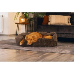 Beeztees Hondenmand Yala Bruin 19 Beeztees Hondenmand Yala Bruin -Beeztees Winkel 0716032 2