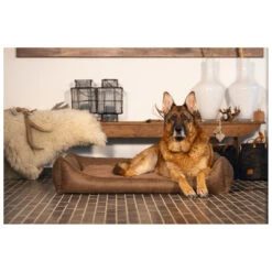 Beeztees Orthopedische Hondenmand Uma Bruin 29 Beeztees Orthopedische Hondenmand Uma Bruin -Beeztees Winkel 0716213 2