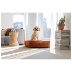 Designed By Lotte Hondenkussen Ribbed Terracotta -Beeztees Winkel 0716267 2