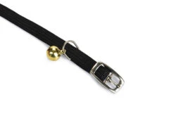 Beeztees Kattenhalsband 11 Beeztees Kattenhalsband -Beeztees Winkel 0730144 det1