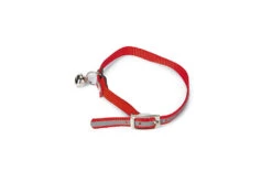 Beeztees Kattenhalsband Reflectie 24 - 29 X 1 Cm