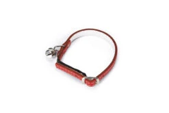 Beeztees Kattenhalsband Met Bel