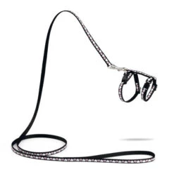 Beeztees Kittentuig Hearts 15 Beeztees Kittentuig Hearts -Beeztees Winkel 0730347