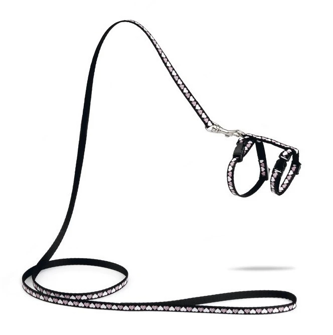 Beeztees Kittentuig Hearts 7 Beeztees Kittentuig Hearts - Afbeelding 7