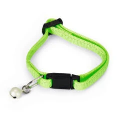 Beeztees Kittenhalsband -Beeztees Winkel 0730382