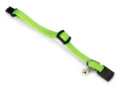 Beeztees Kittenhalsband -Beeztees Winkel 0730382 det1