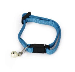 Beeztees Kittenhalsband -Beeztees Winkel 0730386