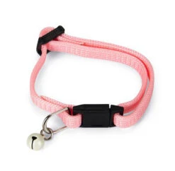 Beeztees Kittenhalsband -Beeztees Winkel 0730387