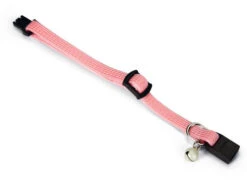 Beeztees Kittenhalsband -Beeztees Winkel 0730387 det1