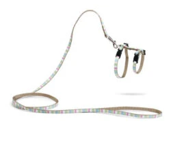 Beeztees Kittentuig Joy -Beeztees Winkel 0730404