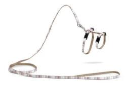 Beeztees Kittentuig Joy -Beeztees Winkel 0730405