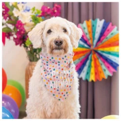 Beeztees Party Bandana Hondenkleding Multi -Beeztees Winkel 0749770 3