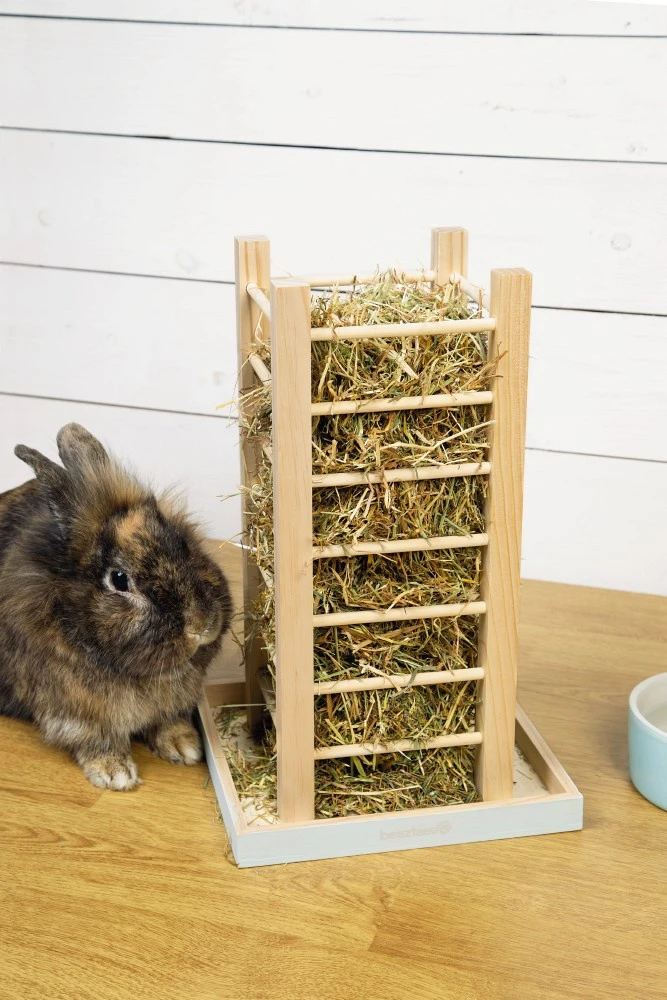 Beeztees Hooicontainer Denga Mint 2 Beeztees Hooicontainer Denga Mint - Afbeelding 2