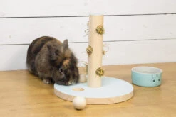 Beeztees Speeltoren Hayra Mint 7 Beeztees Speeltoren Hayra Mint -Beeztees Winkel 0811114 sfeer1