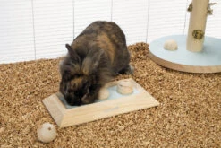 Beeztees Braingame Ballira Mint 7 Beeztees Braingame Ballira Mint -Beeztees Winkel 0811115 sfeer1