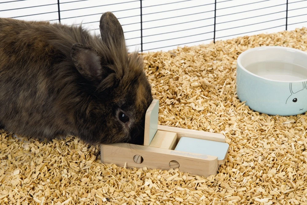 Beeztees Braingame Dorix Mint 4 Beeztees Braingame Dorix Mint - Afbeelding 4