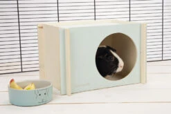 Beeztees Knaagdierhuis Bildup Mint 9 Beeztees Knaagdierhuis Bildup Mint -Beeztees Winkel 0811119 sfeer1