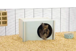 Beeztees Knaagdierhuis Bildup Mint 11 Beeztees Knaagdierhuis Bildup Mint -Beeztees Winkel 0811120 sfeer1