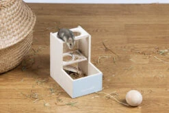 Beeztees Speelhuis Rexy Mint -Beeztees Winkel 0811156 sfeer1