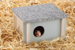 Beeztees Knaagdier Koelhuisje Cico 15 X 13 X 9 Cm -Beeztees Winkel 0811158 sfeer1