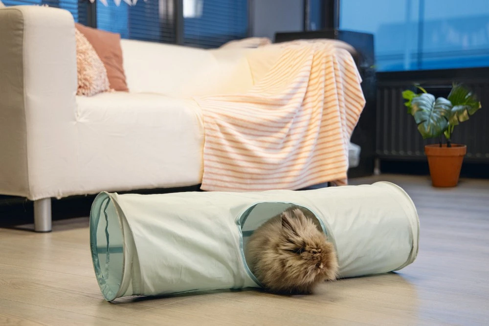 Beeztees Knaagdier Tunnel Ravena Mint 2 Beeztees Knaagdier Tunnel Ravena Mint - Afbeelding 2