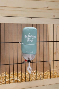 Beeztees Knaagdierdrinkfles Cooler Mint 16 -Beeztees Winkel 0811180 sfeer2