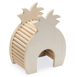 Beeztees Hamsterhuis Ananas 7 Beeztees Hamsterhuis Ananas -Beeztees Winkel 0811185 3