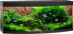 Juwel Aquarium Vision 450 LED Zwart