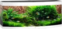 Juwel Aquarium Vision 450 LED Wit