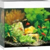 Juwel Aquarium Lido 120 LED Wit